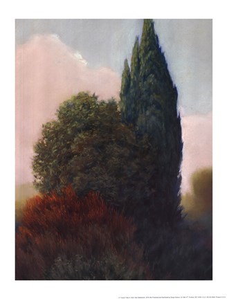 Framed Tuscan Trees II Print