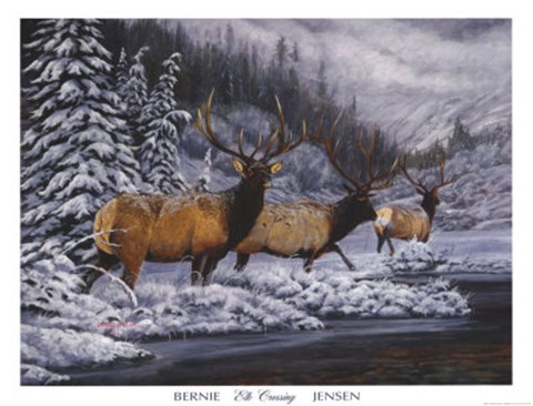 Framed Elk Crossing Print