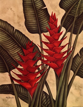 Framed Tropical Heliconia Print