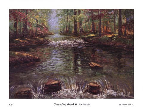 Framed Cascading Brook II Print
