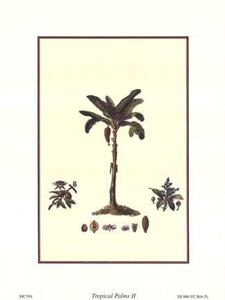 Framed Tropical Palms II Print