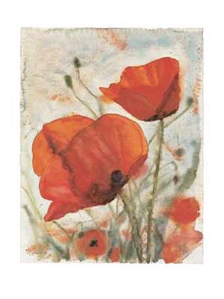Framed Tuscany Poppies I Print
