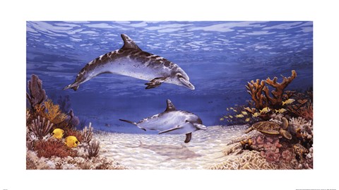 Framed Dolphin World Print
