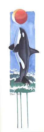 Framed Killer Whale Print