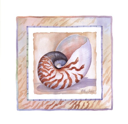 Framed Bordered Shell-Nautilus Print