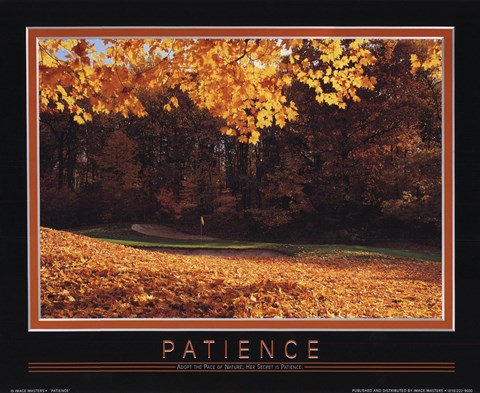 Framed Patience Print