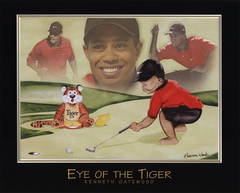 Framed Eye of the Tiger Print