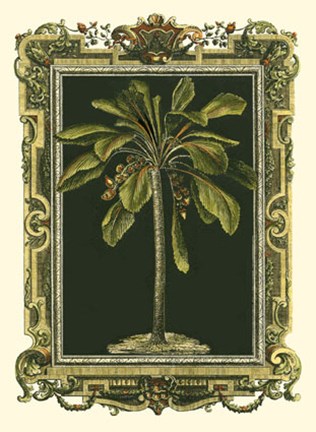 Framed Decorative Framed Palm II Print