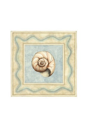 Framed Shell Collector II Print