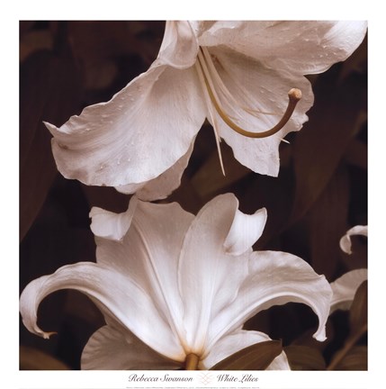 Framed White Lilies Print