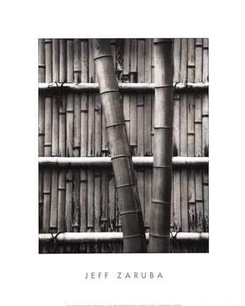 Framed Bamboo and Wall Print