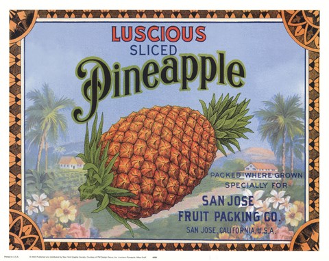Framed Luscious Pineapple Print