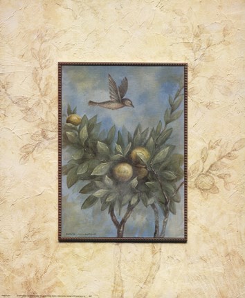 Framed Giardino II Print