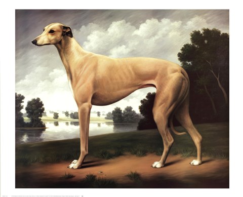 Framed Greyhound in a Parkland Landscape Print
