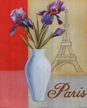 Framed Paris Floral Views Print
