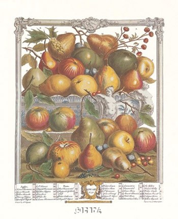 Framed January/Twelve Months of Fruits, 1732 Print