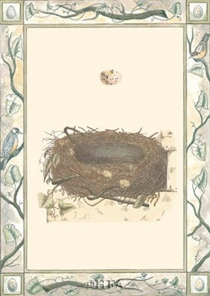 Framed Woodland Nest II Print