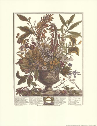 Framed January/Twelve Months of Flowers, 1730 Print