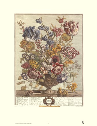 Framed April/Twelve Months of Flowers, 1730 Print