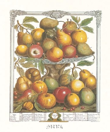 Framed February/Twelve Months of Fruits, 1732 Print