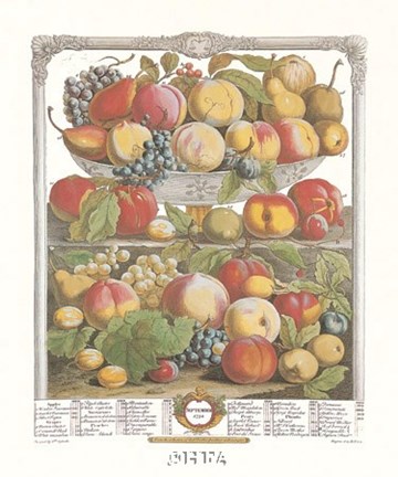 Framed September/Twelve Months of Fruits, 1732 Print