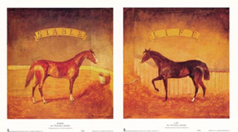 Framed Stable Life (Set of Two) Print