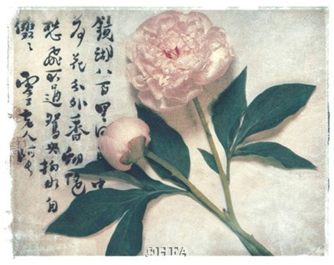 Framed Oriental Peony Print