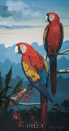 Framed Scarlet Macaw Print