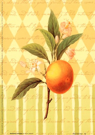 Framed Botanical Orange Print