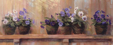 Framed Violets in Pots Print