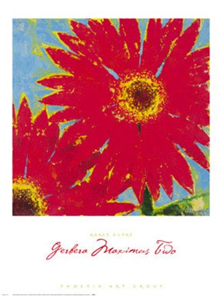 Framed Gerbera Maximus Two Print