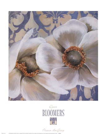 Framed Bloomers IV Print