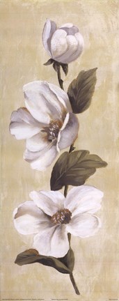 Framed Magnolia Vine IV Print