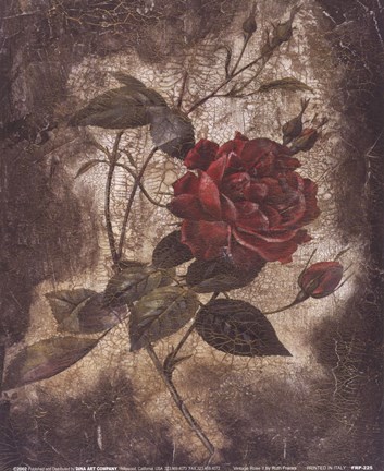 Framed Vintage Rose II (Sm) Print
