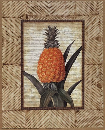 Framed Tropical Pineapple II Print