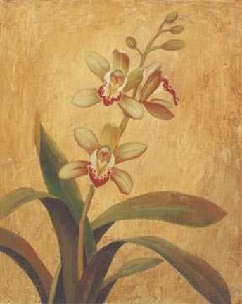 Framed Orchid In Landscape I Print