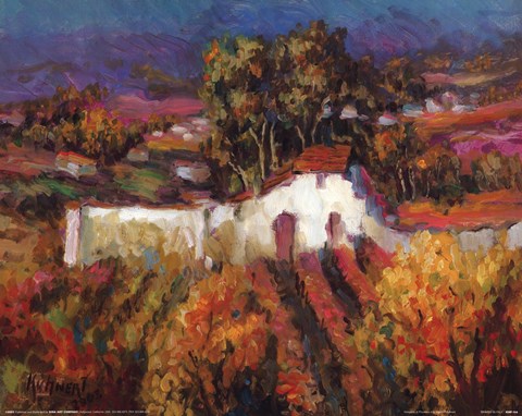 Framed Vineyards In Provence II Print