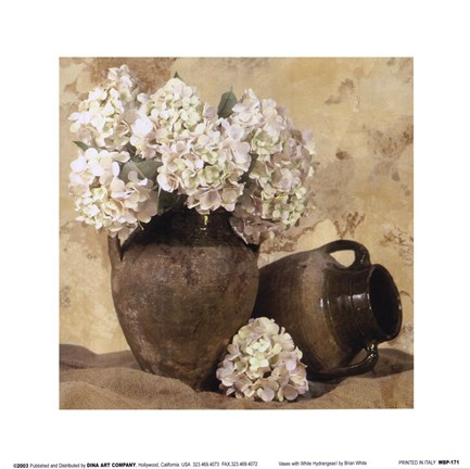 Framed Vases With White Hydrangeas I Print