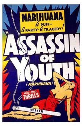 Framed Assassin of Youth Print