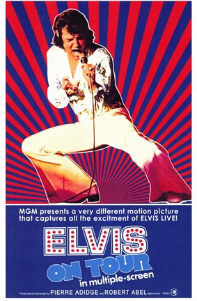 Framed Elvis on Tour Print