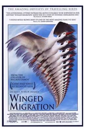 Framed Winged Migration Print