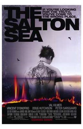 Framed Salton Sea Print