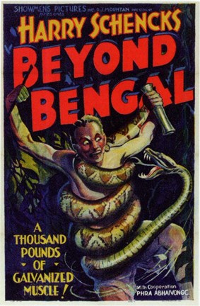 Framed Beyond Bengal Print