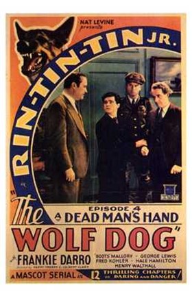 Framed Wolf Dog (movie poster) Print