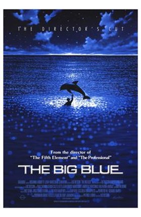 Framed Big Blue - Dolphin Print