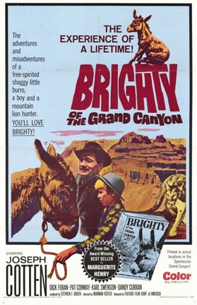 Framed Brighty of the Grand Canyon Print