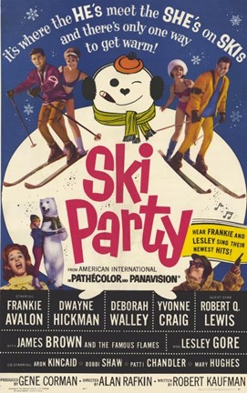 Framed Ski Party Print