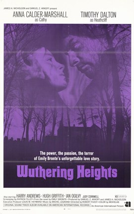 Framed Wuthering Heights - purple Print