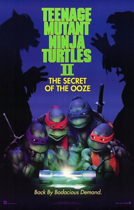 Framed Teenage Mutant Ninja Turtles 2 Print