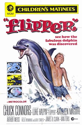 Framed Flipper Print